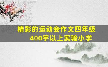 精彩的运动会作文四年级 400字以上实验小学